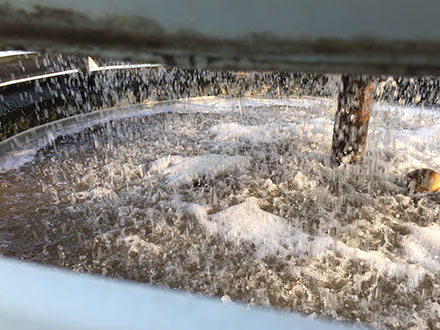 廢水處理